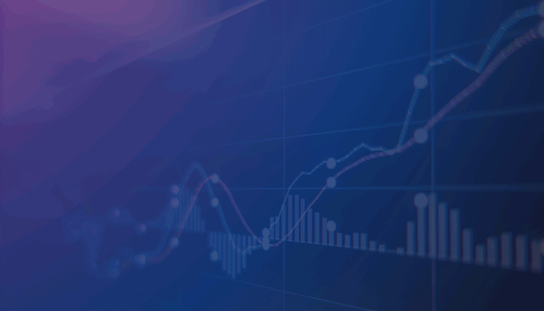 Stagiair online marketing